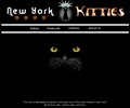 New York Kitties